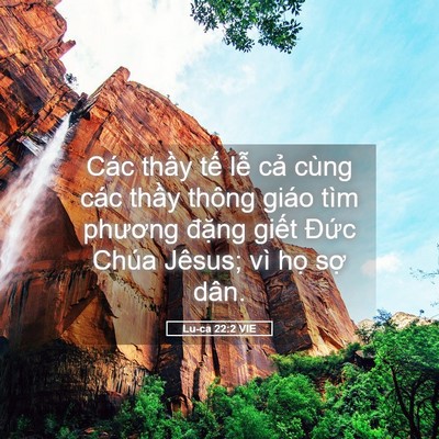 Picture 05 - Lu-ca 22:2 VIE - Các thầy tế lễ cả cùng các thầy - Bible Verse Picture