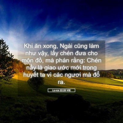 Picture 05 - Lu-ca 22:20 VIE - Khi ăn xong, Ngài cũng làm như vậy, lấy - Bible Verse Picture
