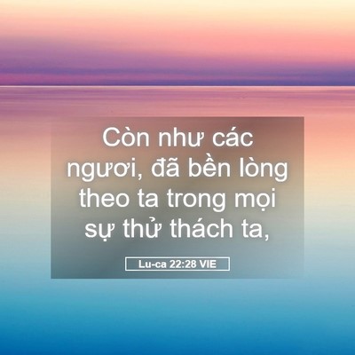Picture 05 - Lu-ca 22:28 VIE - Còn như các ngươi, đã bền lòng theo ta - Bible Verse Picture