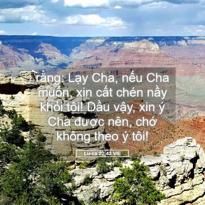 Picture 05 - Lu-ca 22:42 VIE - rằng: Lạy Cha, nếu Cha muốn, xin cất - Bible Verse Picture