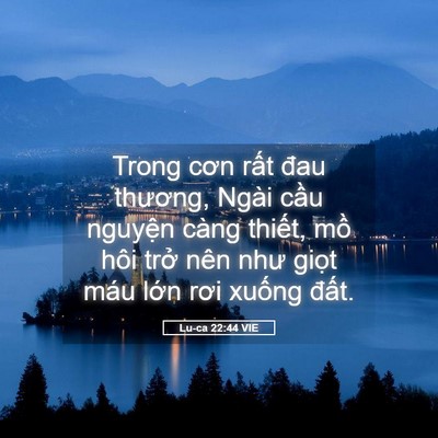 Picture 05 - Lu-ca 22:44 VIE - Trong cơn rất đau thương, Ngài cầu - Bible Verse Picture