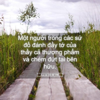 Picture 05 - Lu-ca 22:50 VIE - Một người trong các sứ đồ đánh - Bible Verse Picture