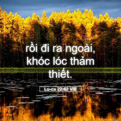 Picture 05 - Lu-ca 22:62 VIE - rồi đi ra ngoài, khóc lóc thảm - Bible Verse Picture