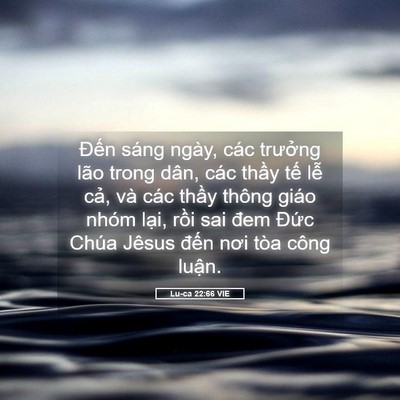 Picture 05 - Lu-ca 22:66 VIE - Đến sáng ngày, các trưởng lão trong - Bible Verse Picture