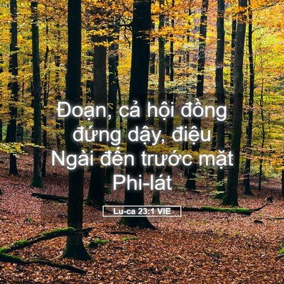 Picture 05 - Lu-ca 23:1 VIE - Đoạn, cả hội đồng đứng dậy, - Bible Verse Picture