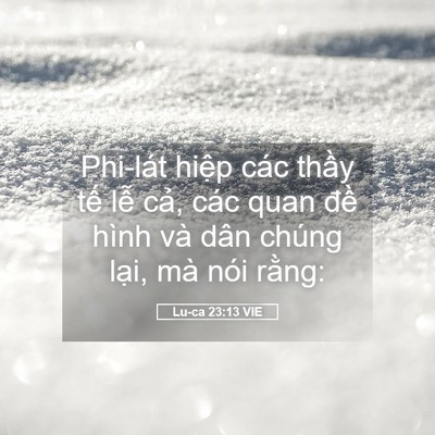 Picture 05 - Lu-ca 23:13 VIE - Phi-lát hiệp các thầy tế lễ cả, các - Bible Verse Picture