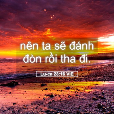 Picture 05 - Lu-ca 23:16 VIE - nên ta sẽ đánh đòn rồi tha - Bible Verse Picture