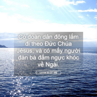 Picture 05 - Lu-ca 23:27 VIE - Có đoàn dân đông lắm đi theo Đức - Bible Verse Picture