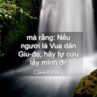 Picture 05 - Lu-ca 23:37 VIE - mà rằng: Nếu ngươi là Vua dân Giu-đa, - Bible Verse Picture