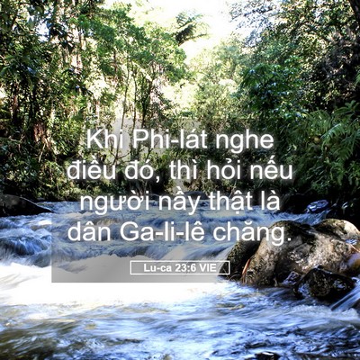 Picture 05 - Lu-ca 23:6 VIE - Khi Phi-lát nghe điều đó, thì hỏi nếu - Bible Verse Picture