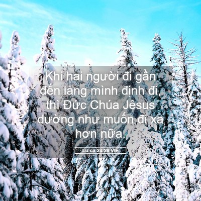 Picture 05 - Lu-ca 24:28 VIE - Khi hai người đi gần đến làng mình - Bible Verse Picture