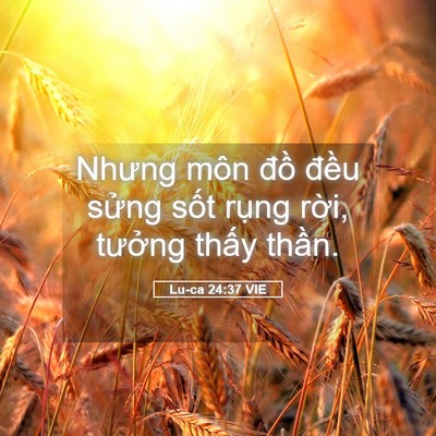 Picture 05 - Lu-ca 24:37 VIE - Nhưng môn đồ đều sửng sốt rụng - Bible Verse Picture