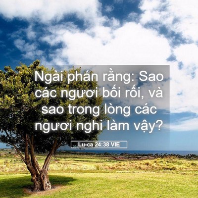 Picture 05 - Lu-ca 24:38 VIE - Ngài phán rằng: Sao các ngươi bối rối, - Bible Verse Picture