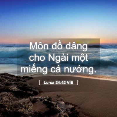 Picture 05 - Lu-ca 24:42 VIE - Môn đồ dâng cho Ngài một miếng cá - Bible Verse Picture