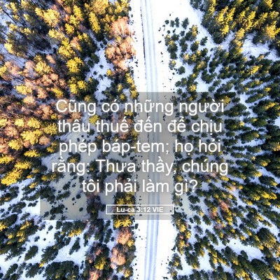 Picture 05 - Lu-ca 3:12 VIE - Cũng có những người thâu thuế đến - Bible Verse Picture