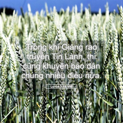 Picture 05 - Lu-ca 3:18 VIE - Trong khi Giăng rao truyền Tin Lành, thì - Bible Verse Picture