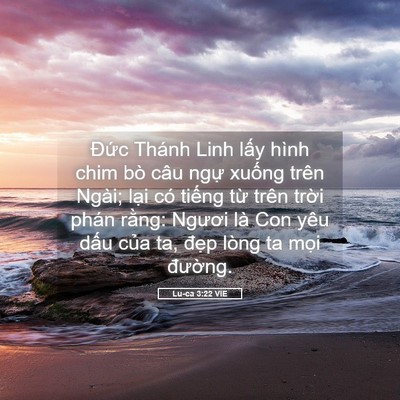Picture 05 - Lu-ca 3:22 VIE - Đức Thánh Linh lấy hình chim bò câu - Bible Verse Picture