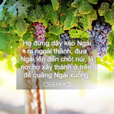 Picture 05 - Lu-ca 4:29 VIE - Họ đứng dậy kéo Ngài ra ngoài thành, - Bible Verse Picture