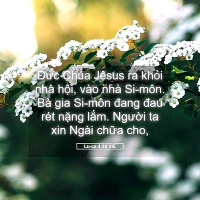 Picture 05 - Lu-ca 4:38 VIE - Đức Chúa Jêsus ra khỏi nhà hội, vào - Bible Verse Picture