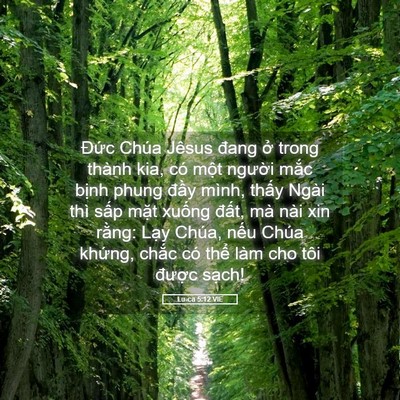 Picture 05 - Lu-ca 5:12 VIE - Đức Chúa Jêsus đang ở trong thành kia, - Bible Verse Picture