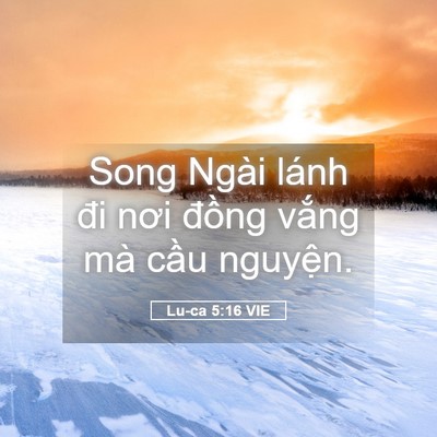 Picture 05 - Lu-ca 5:16 VIE - Song Ngài lánh đi nơi đồng vắng mà - Bible Verse Picture