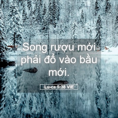 Picture 05 - Lu-ca 5:38 VIE - Song rượu mới phải đổ vào bầu - Bible Verse Picture