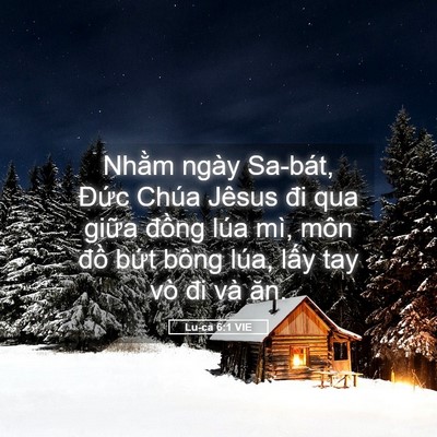 Picture 05 - Lu-ca 6:1 VIE - Nhằm ngày Sa-bát, Đức Chúa Jêsus đi qua - Bible Verse Picture
