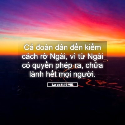 Picture 05 - Lu-ca 6:19 VIE - Cả đoàn dân đến kiếm cách rờ Ngài, - Bible Verse Picture
