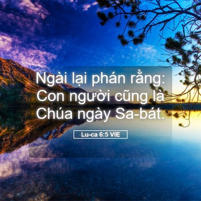 Picture 05 - Lu-ca 6:5 VIE - Ngài lại phán rằng: Con người cũng là - Bible Verse Picture