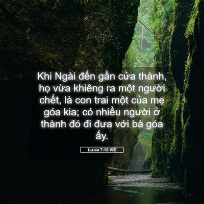 Picture 05 - Lu-ca 7:12 VIE - Khi Ngài đến gần cửa thành, họ vừa - Bible Verse Picture