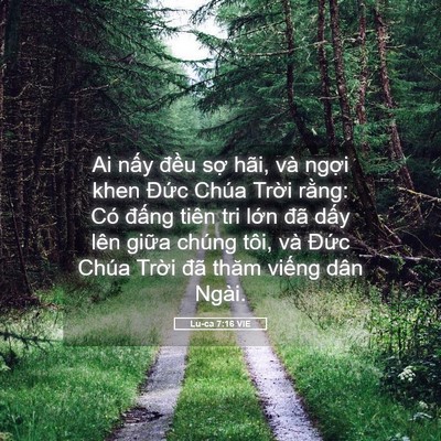 Picture 05 - Lu-ca 7:16 VIE - Ai nấy đều sợ hãi, và ngợi khen Đức - Bible Verse Picture