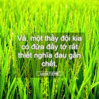 Picture 05 - Lu-ca 7:2 VIE - Vả, một thầy đội kia có đứa đầy - Bible Verse Picture