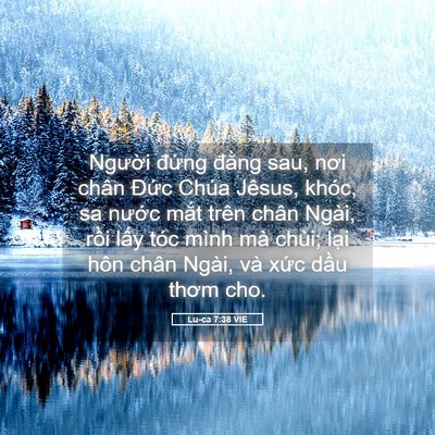 Picture 05 - Lu-ca 7:38 VIE - Người đứng đằng sau, nơi chân Đức - Bible Verse Picture