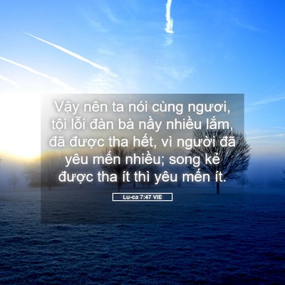 Picture 05 - Lu-ca 7:47 VIE - Vậy nên ta nói cùng ngươi, tội lỗi - Bible Verse Picture