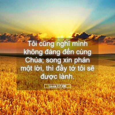 Picture 05 - Lu-ca 7:7 VIE - Tôi cũng nghĩ mình không đáng đến cùng - Bible Verse Picture