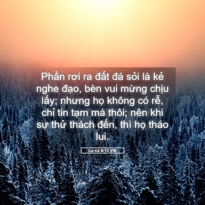 Picture 05 - Lu-ca 8:13 VIE - Phần rơi ra đất đá sỏi là kẻ nghe - Bible Verse Picture
