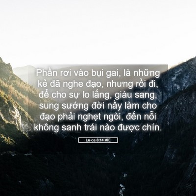 Picture 05 - Lu-ca 8:14 VIE - Phần rơi vào bụi gai, là những kẻ đã - Bible Verse Picture