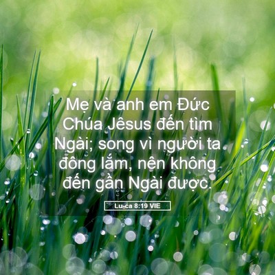 Picture 05 - Lu-ca 8:19 VIE - Mẹ và anh em Đức Chúa Jêsus đến tìm - Bible Verse Picture