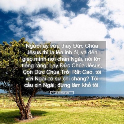 Picture 05 - Lu-ca 8:28 VIE - Người ấy vừa thấy Đức Chúa Jêsus - Bible Verse Picture