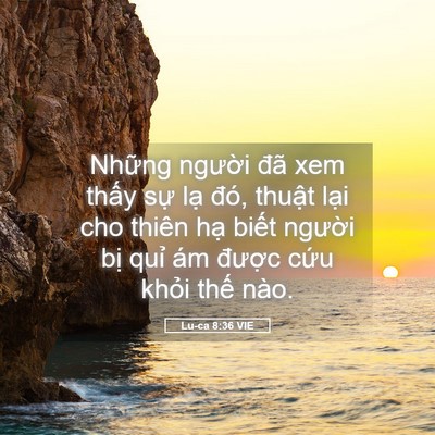 Picture 05 - Lu-ca 8:36 VIE - Những người đã xem thấy sự lạ đó, - Bible Verse Picture