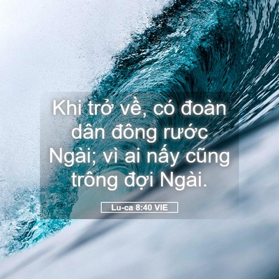 Picture 05 - Lu-ca 8:40 VIE - Khi trở về, có đoàn dân đông rước - Bible Verse Picture