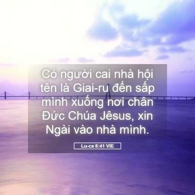 Picture 05 - Lu-ca 8:41 VIE - Có người cai nhà hội tên là Giai-ru - Bible Verse Picture