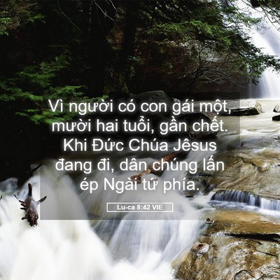 Picture 05 - Lu-ca 8:42 VIE - Vì người có con gái một, mười hai - Bible Verse Picture