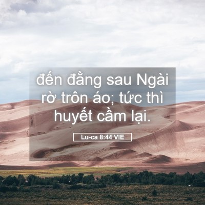 Picture 05 - Lu-ca 8:44 VIE - đến đằng sau Ngài rờ trôn áo; tức - Bible Verse Picture
