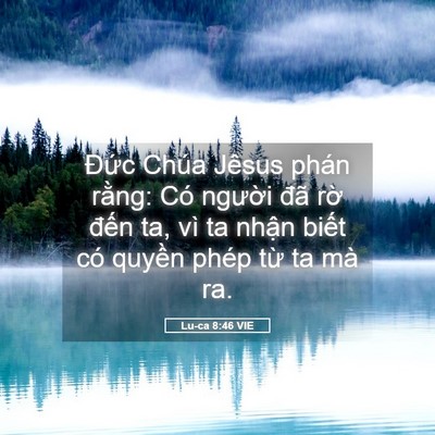 Picture 05 - Lu-ca 8:46 VIE - Đức Chúa Jêsus phán rằng: Có người - Bible Verse Picture