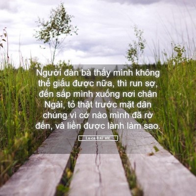 Picture 05 - Lu-ca 8:47 VIE - Người đàn bà thấy mình không thể - Bible Verse Picture