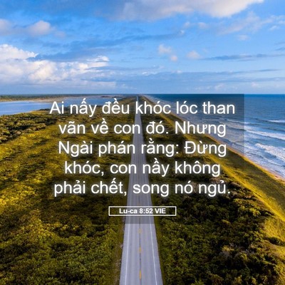 Picture 05 - Lu-ca 8:52 VIE - Ai nấy đều khóc lóc than vãn về con - Bible Verse Picture
