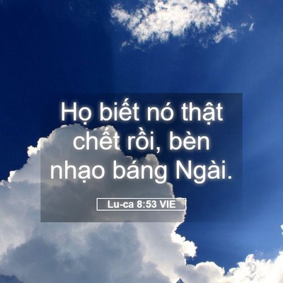 Picture 05 - Lu-ca 8:53 VIE - Họ biết nó thật chết rồi, bèn nhạo - Bible Verse Picture