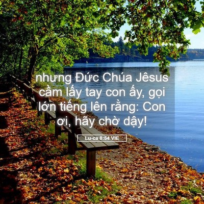 Picture 05 - Lu-ca 8:54 VIE - nhưng Đức Chúa Jêsus cầm lấy tay con - Bible Verse Picture