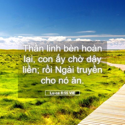 Picture 05 - Lu-ca 8:55 VIE - Thần linh bèn hoàn lại, con ấy chờ - Bible Verse Picture